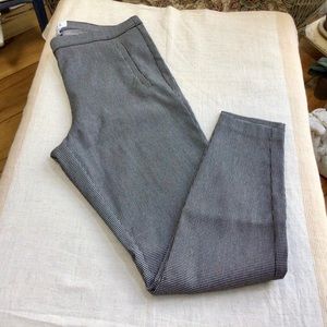 Cute and Sassy! Pants